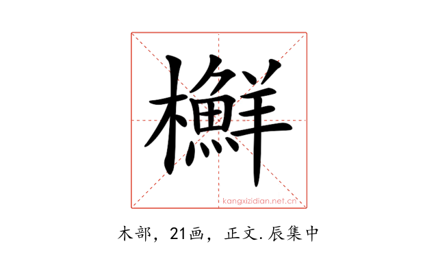 𣟲