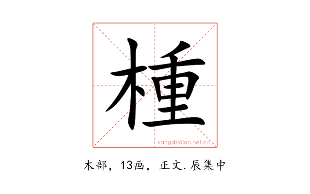 㮔