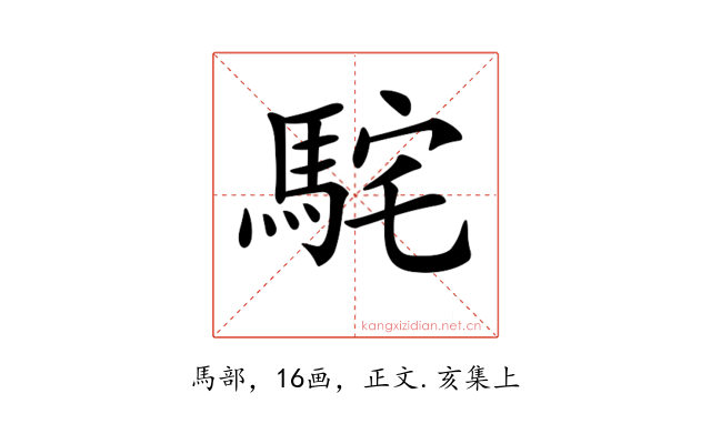 𩢵