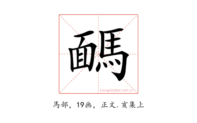 𩤤