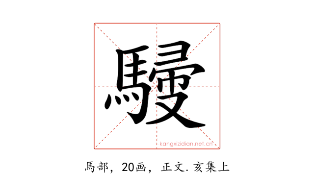 𩤿