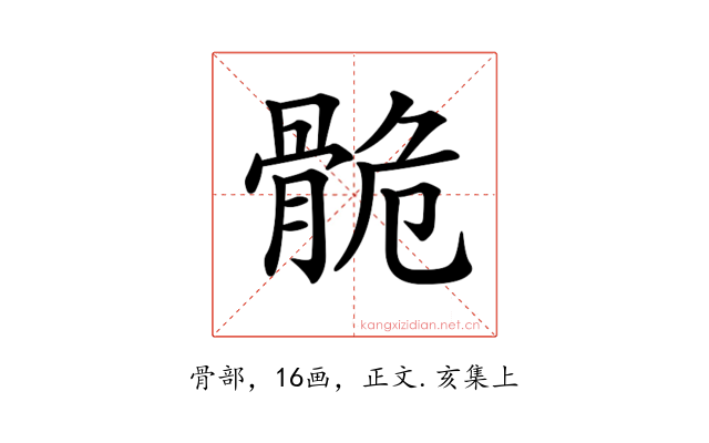 𩨾