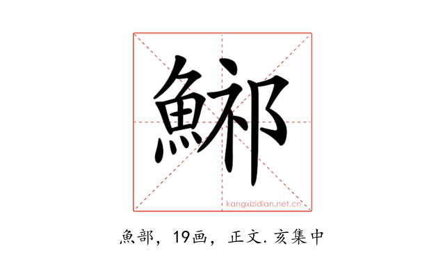𩷾