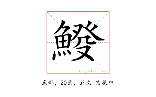 𩸿