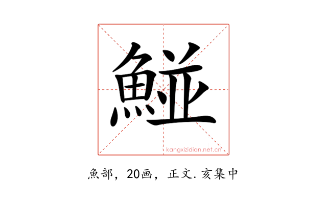 𩹁