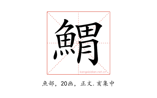 𩹂