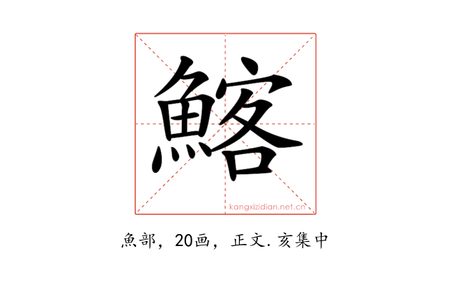 𩹃