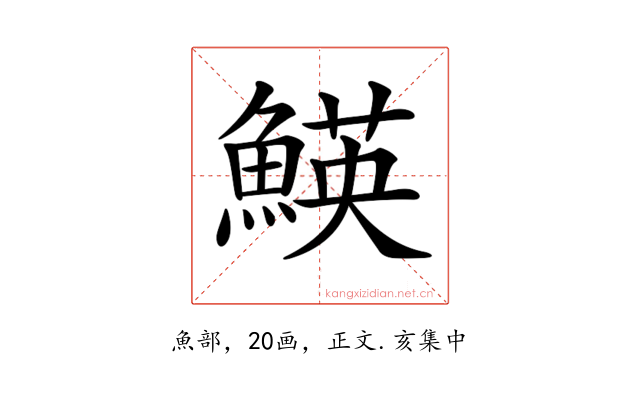 𩹅