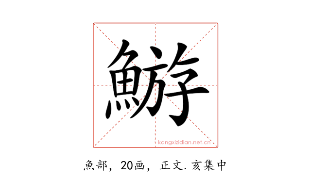 𩹊