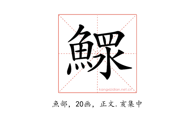 𩹌