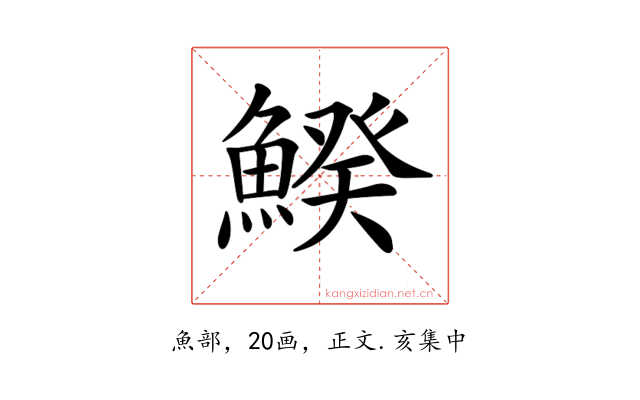 𩹍
