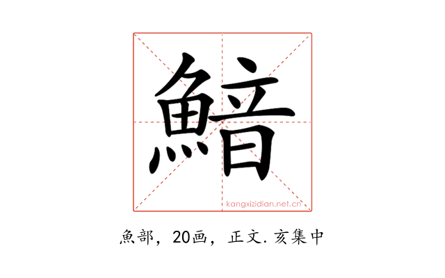 𩹎