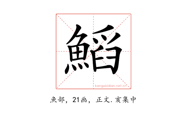𩹴