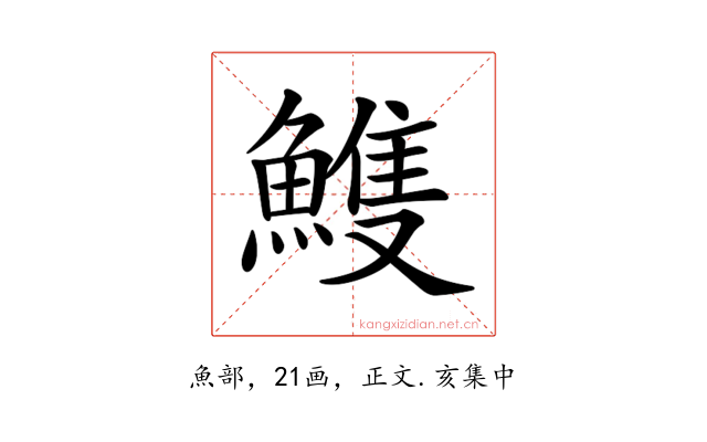 𩹹