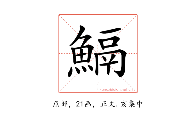 𩹺