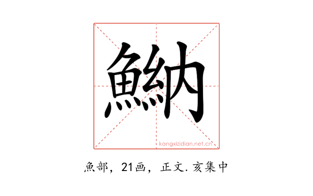 𩹾