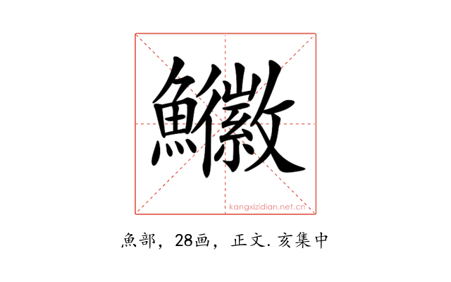 𩽚