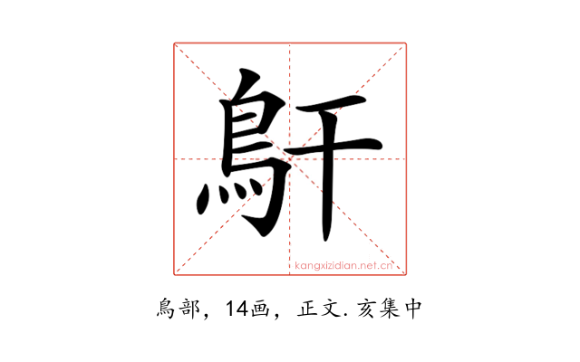 𩾝