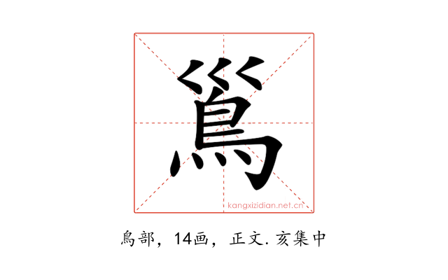 𩾣