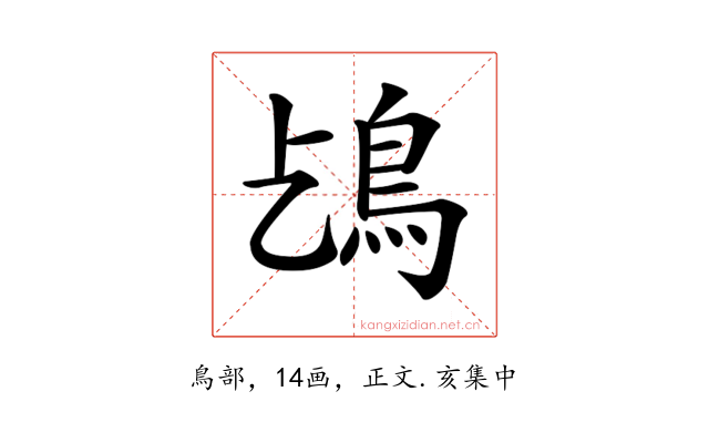 𩾤