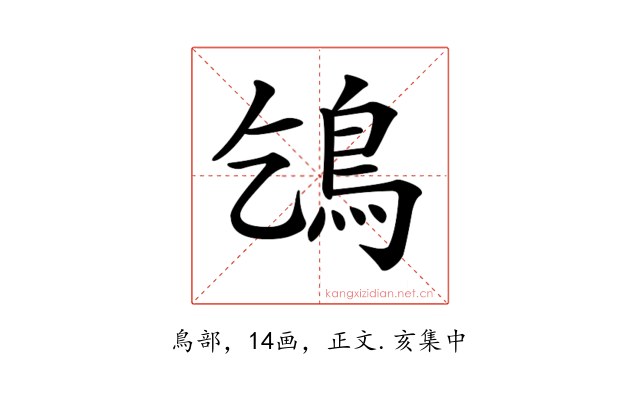 𩾥