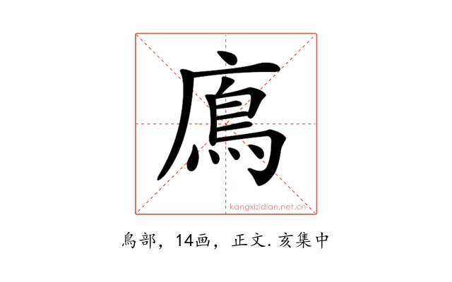 𩾦