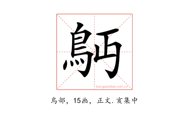 𩾳