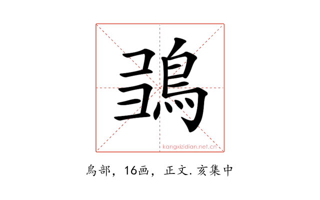 𩿮