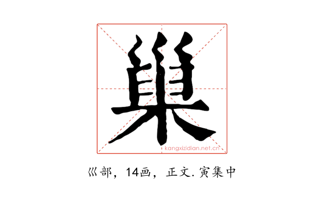 巢