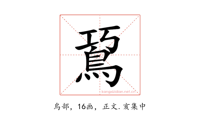 䲾