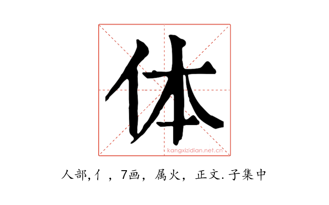 体