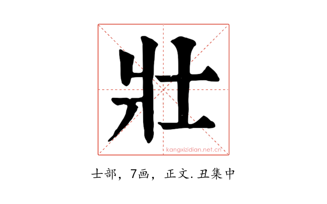 壯