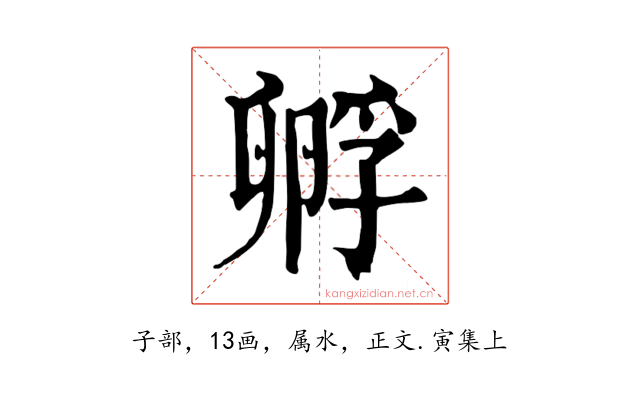 孵