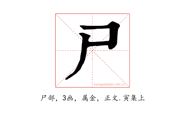 尸