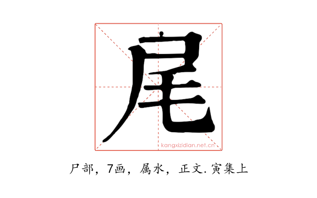 尾