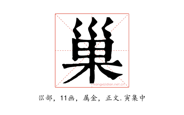 巢