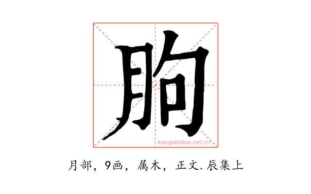 朐