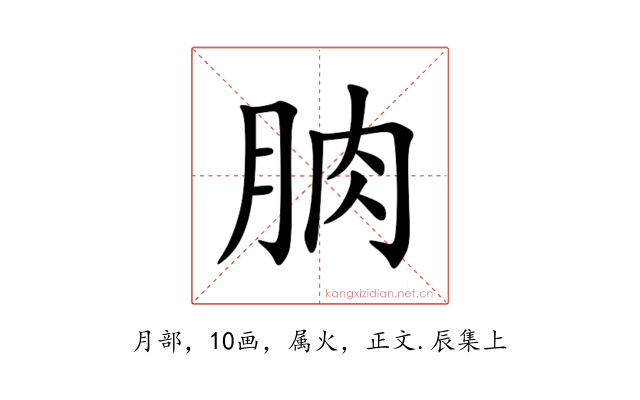 朒