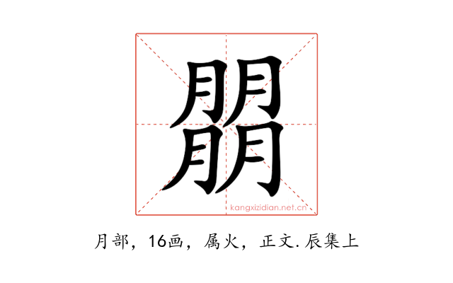朤