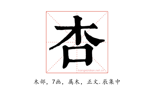 杏