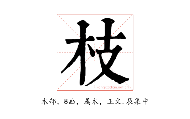 枝