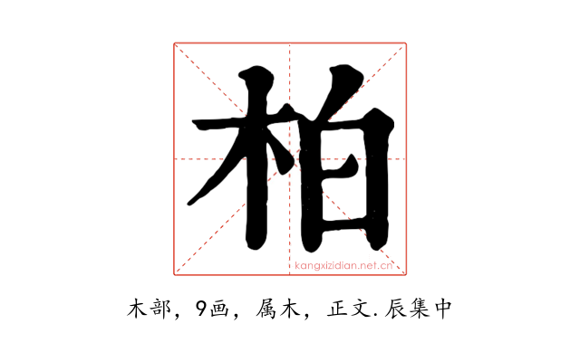 柏