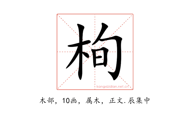 栒