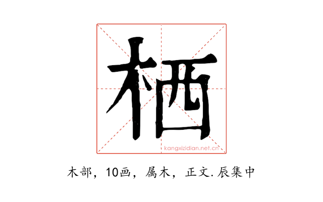 栖