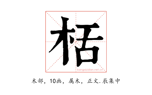栝