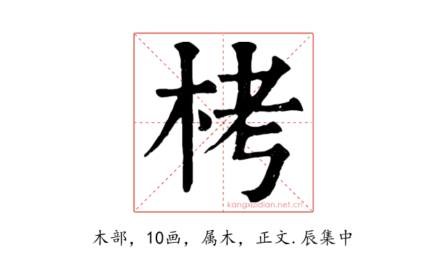 栲