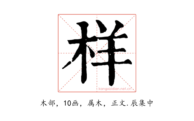 样