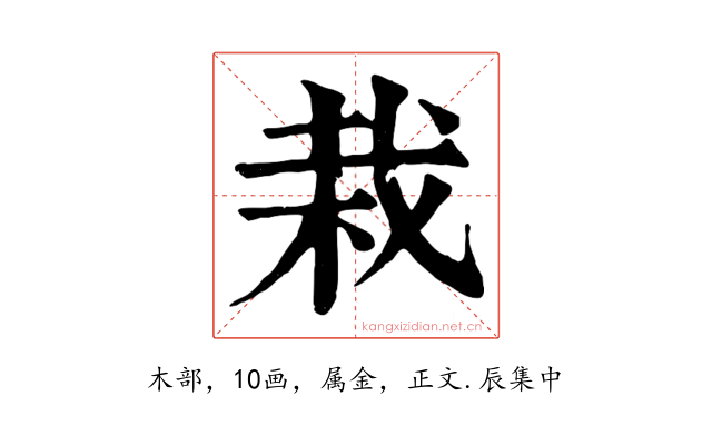 栽