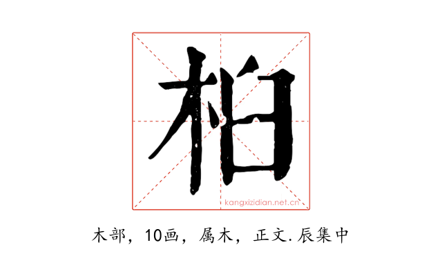 桕