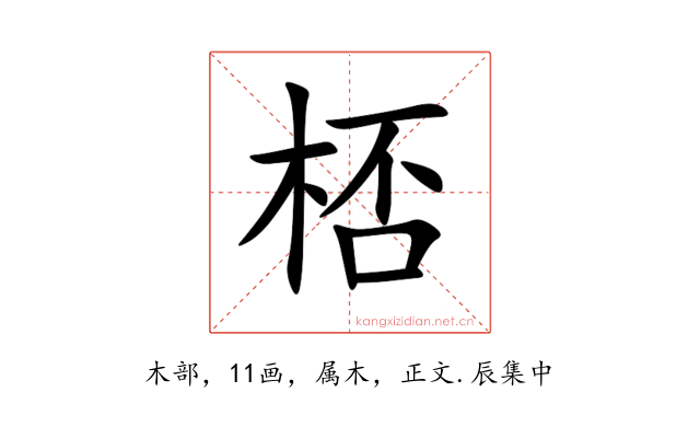 桮